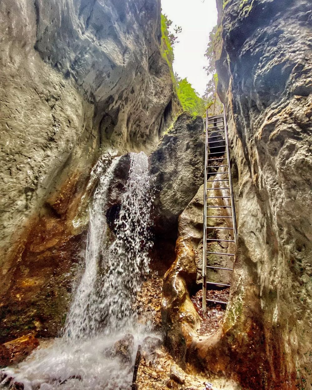 Échelle métallique près d’une cascade, dans le canyon des Sept Échelles, sur le Piatra Mare