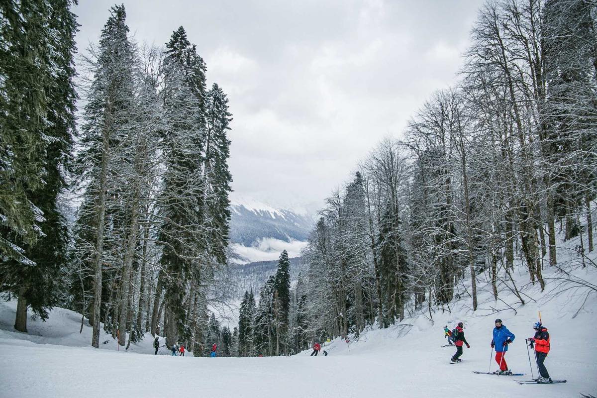Skieurs et snowboardeurs sur une large piste à travers une forêt de sapins et de hêtres enneigés