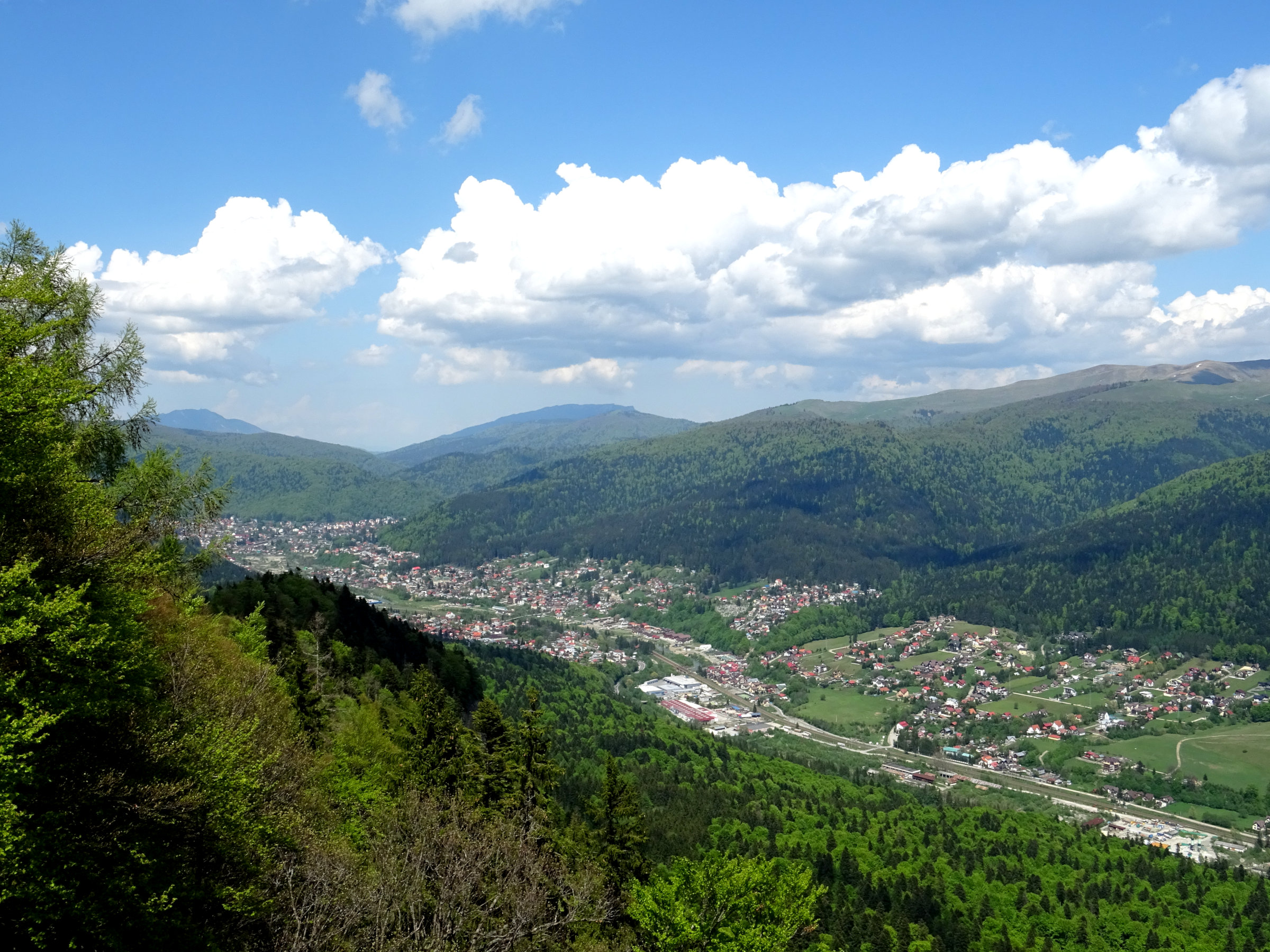 Co zobaczyć w Bușteni: panorama dzielnicy Zamora i gór Bucegi