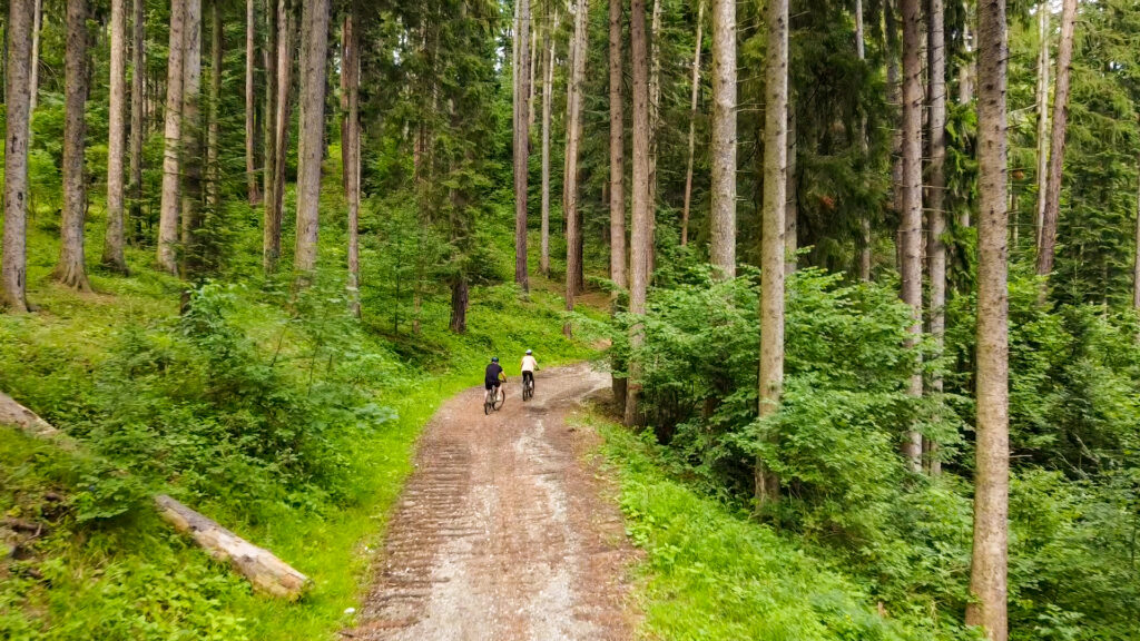 Giro in bicicletta nel bosco di Zamora, Bușteni
