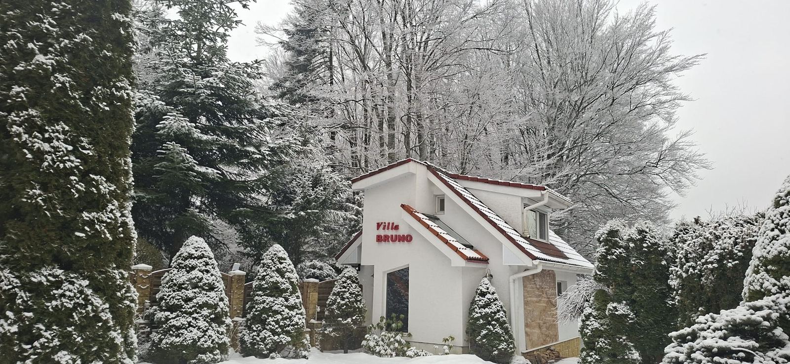 Vila BRUNO en snedag mellem snedækkede grantræer, Bușteni